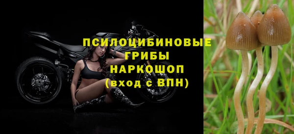 винт Балахна