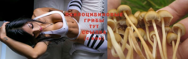 каннабис Баксан