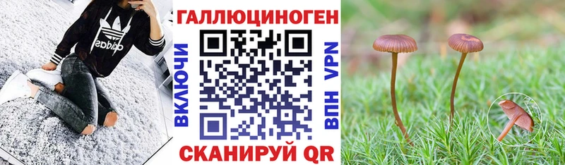 Галлюциногенные грибы MAGIC MUSHROOMS  Всеволожск 