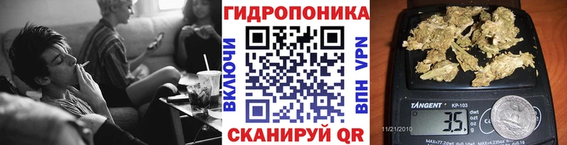 купить наркотики цена  Всеволожск  Конопля конопля 